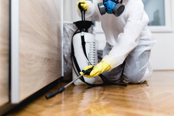 Best Residential Pest Control  in Ball, LA