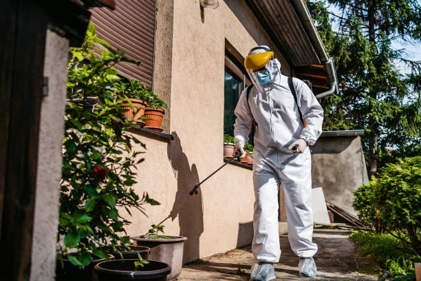 Best Bird Control  in Ball, LA