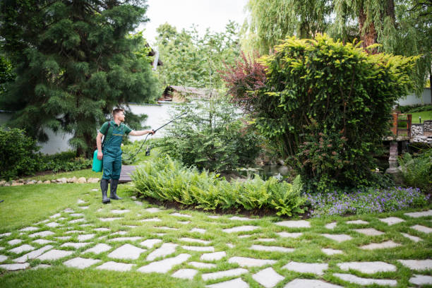 Best Pest Inspection Near Me  in Ball, LA