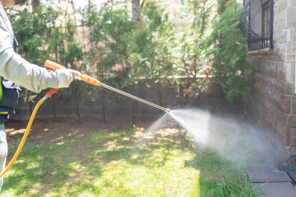 Best Bed Bug Extermination  in Ball, LA