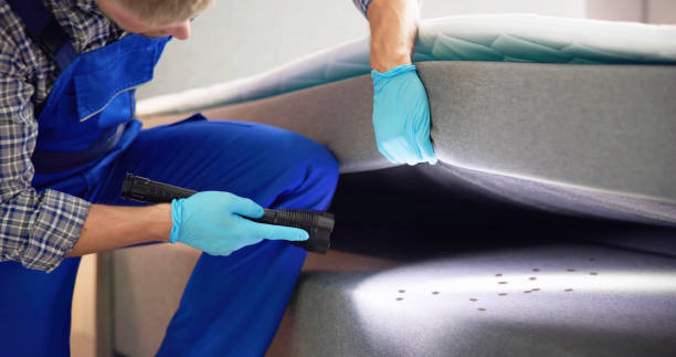 Best Flea Control Services  in Ball, LA