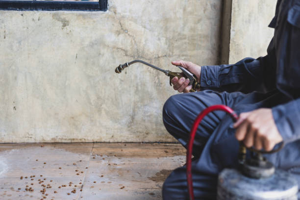 Pest Control Cost in Ball, LA
